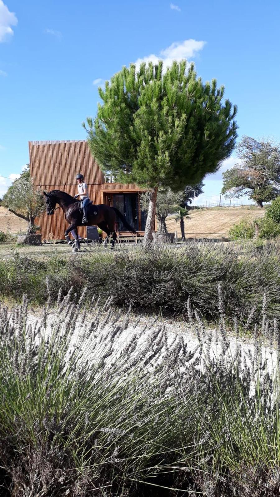 Manege De La Chapiniere - Dadaloge Tiny-House Villa Châteauvieux Exteriör bild