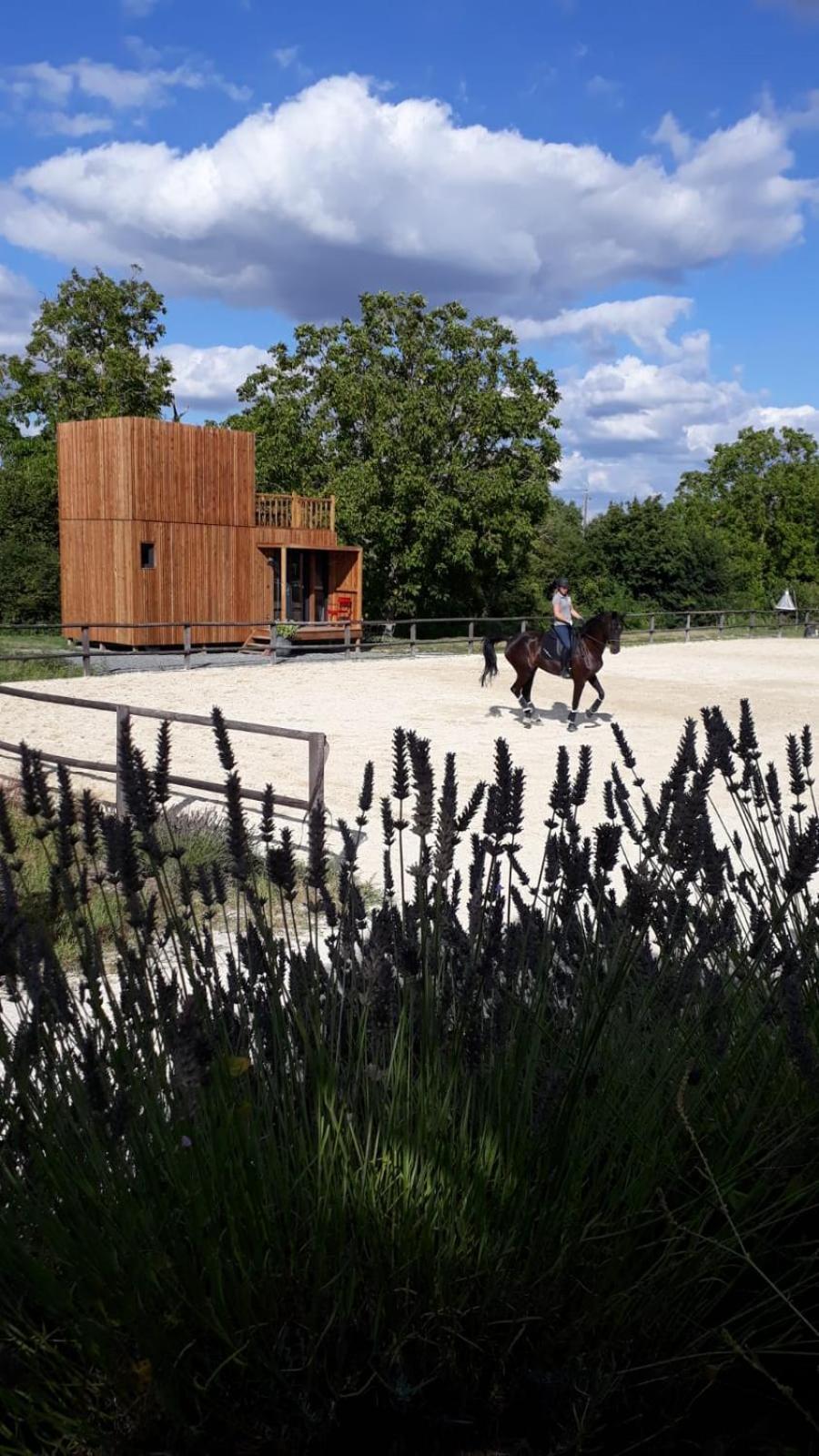 Manege De La Chapiniere - Dadaloge Tiny-House Villa Châteauvieux Exteriör bild