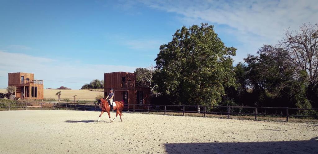 Manege De La Chapiniere - Dadaloge Tiny-House Villa Châteauvieux Exteriör bild