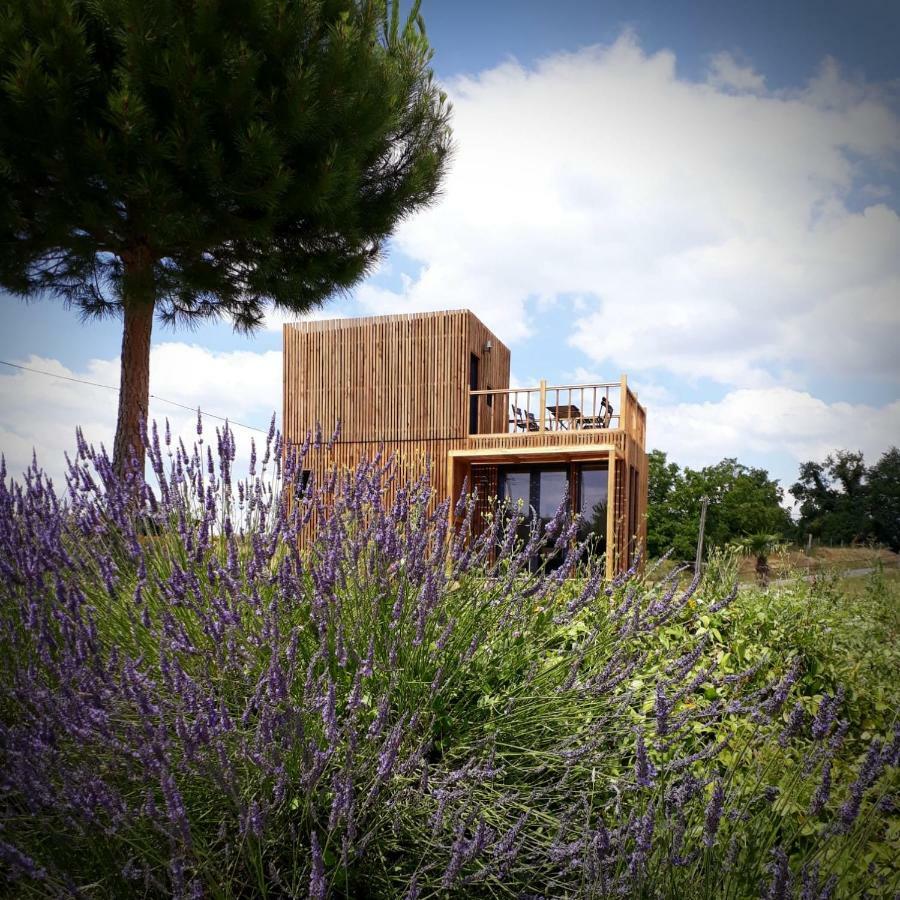 Manege De La Chapiniere - Dadaloge Tiny-House Villa Châteauvieux Exteriör bild