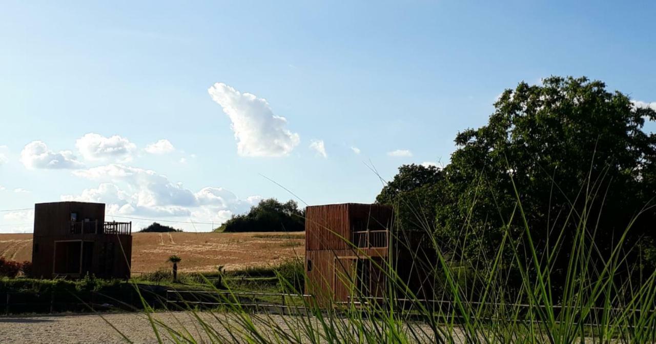 Manege De La Chapiniere - Dadaloge Tiny-House Villa Châteauvieux Exteriör bild